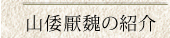 `@R`}鰂̏Љ